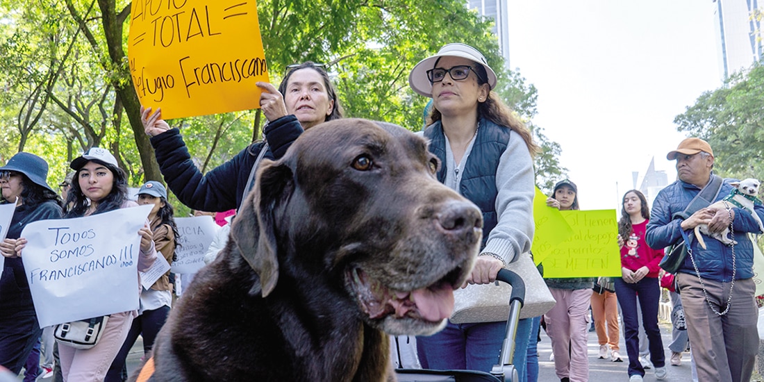 La procuraduría Ambiental y del Ordenamiento Territorial reservó hasta 2031 la información sobre el retiro de los más de 800 perros y gastos franciscanitos.