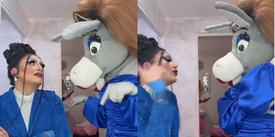 ¿Qué pasó entre Burrita Burrona y Turbulence?