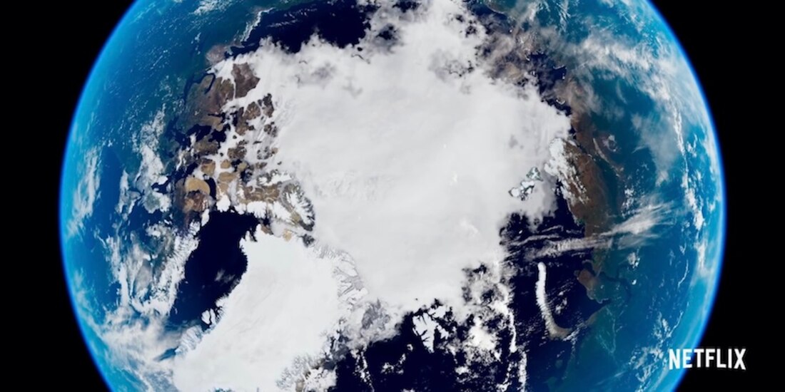 David Attenborough, Una vida en nuestro planeta (2020).