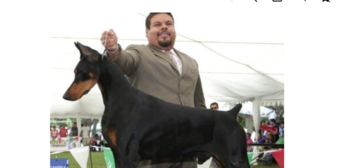 Imagen temática.