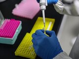 Investigaciones contra la nueva cepa del coronavirus.