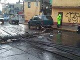 Fuertes lluvias provocan caída de arboles y postes en CDMX