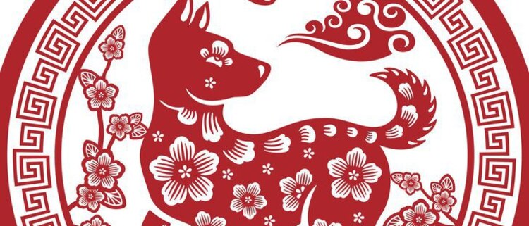 Perro del horóscopo Chino 2021