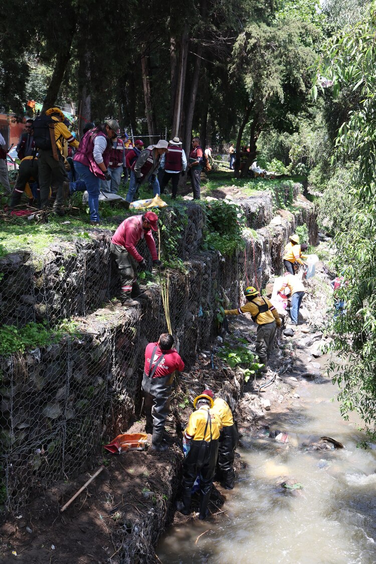 Brugada anuncia limpieza de barrancas de la Cuidad de México.