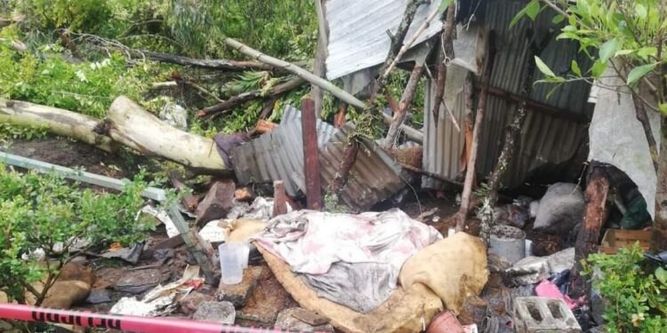 El hombre no llegó con sus familiares a la hora acostumbrada y se enteraron de que le cayó un árbol encima