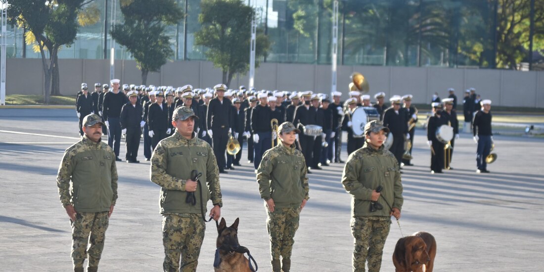 Los elementos caninos Ecko y Max.