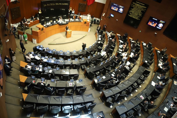 Aspecto del Senado de la República, en sesión.