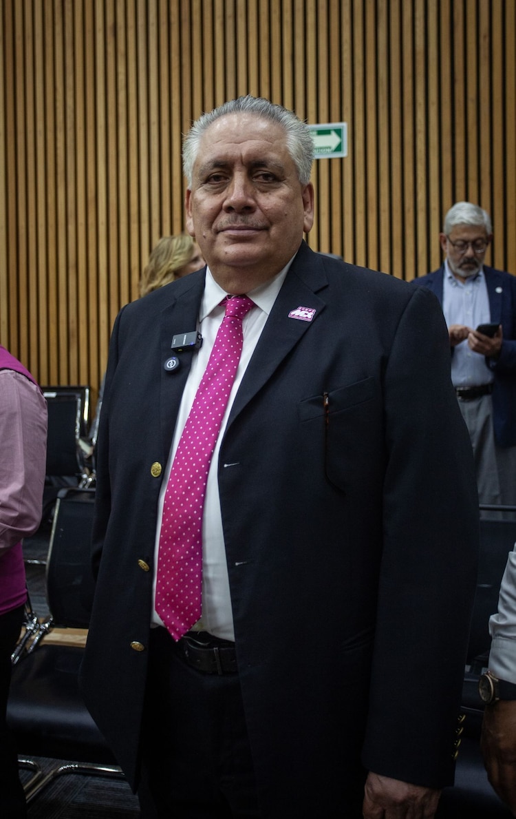 Guadalupe Acosta Naranjo, presidente de partido Somos México, en el INE, el 13 de julio de 2026.