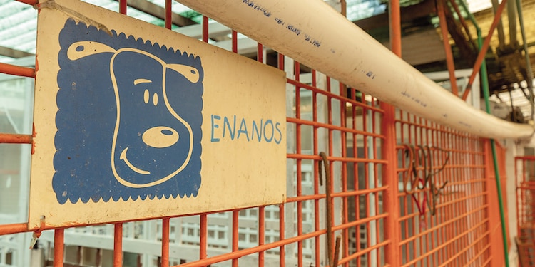 LAS JAULAS son arregladas para recibir a los perros