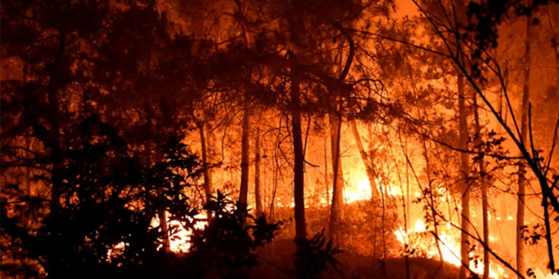 Hubo más incendios en 2024... y se pondrá peor.