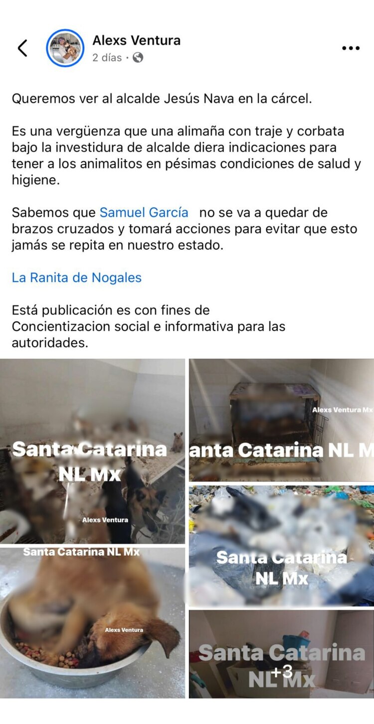 Captura de pantalla de la denuncia en redes sociales por maltrato animal