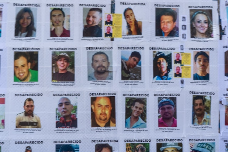 Algunas de las fichas de personas desaparecidas que colocaron colectivos