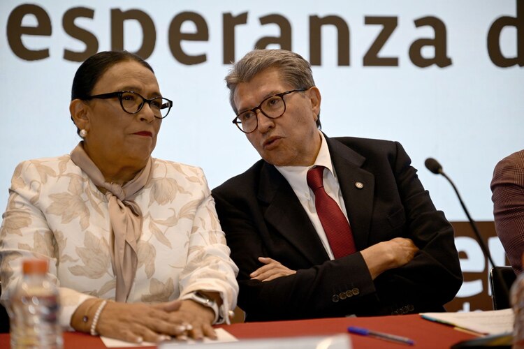 Rosa Icela Rodríguez durante la plenaria de Morena