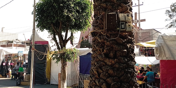 Contactos colocados en un árbol, ayer, en la romería de Sur 16, en Iztacalco.