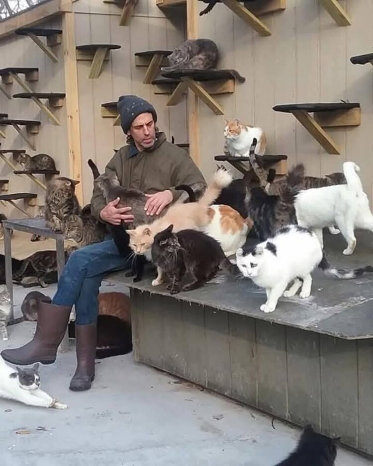 El incendio cobró la vida no sólo del responsable de rescatar a estos gatitos, sino también de más de 100 michis.