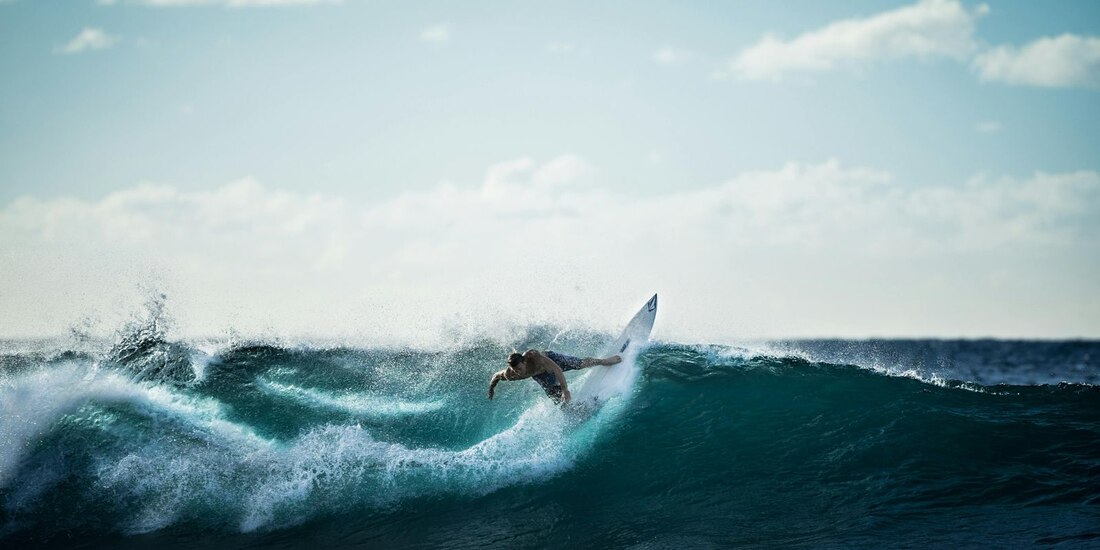Participar en actividades que promuevan la conservación del medio ambiente.