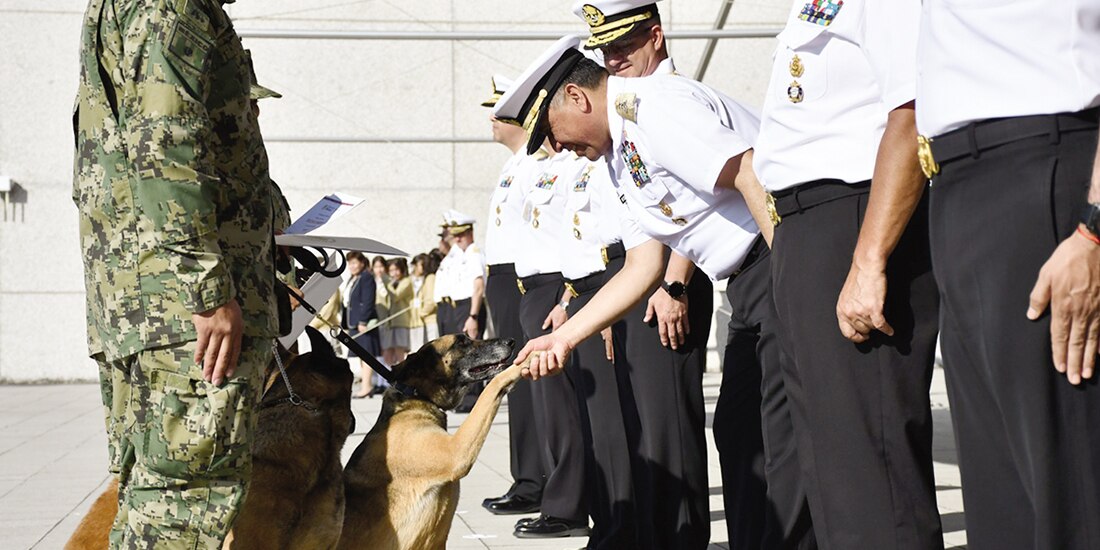 Personal militar, al despedir a elementos caninos y reconocerlos por el servicio prestado a la nación, ayer.