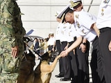 Personal militar, al despedir a elementos caninos y reconocerlos por el servicio prestado a la nación, ayer.