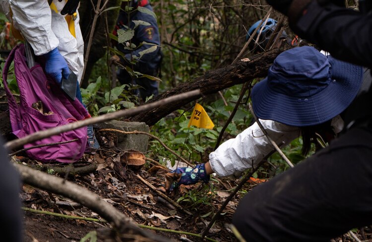 Crisis en el Incifo: personal forense exige destituciones y denuncia colapso operativo.