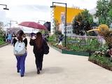 Un grupo de personas camina en el Jardín Flotante Tlallipan, ayer, en la mañana.