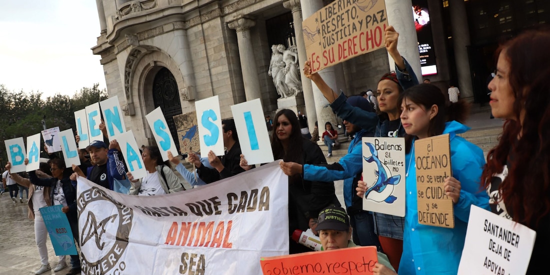 Activistas, durante una manifestación en contra del proyecto Saguaro realizada en la CDMX, el martes pasado