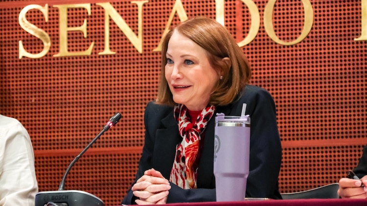 Laura Itzel Castillo, presidenta de la Mesa Directiva del Senado