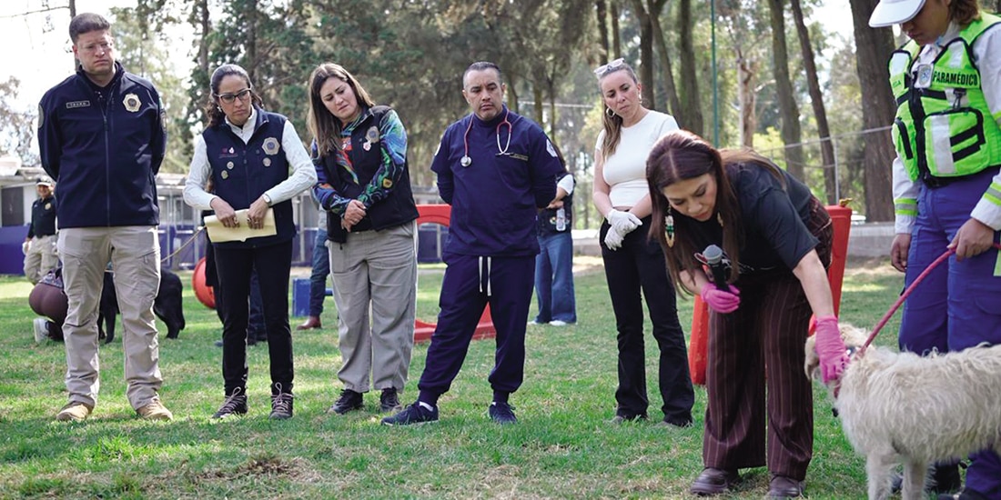 El secretario Pablo Vázquez (izq.) y la Jefa de Gobierno (2.a de der. a izq.), ayer.