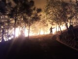 Al momento 56 incendios forestales activos en el país: Conafor