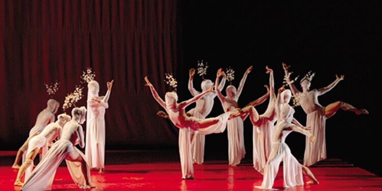 Giselle, las que no volvieron