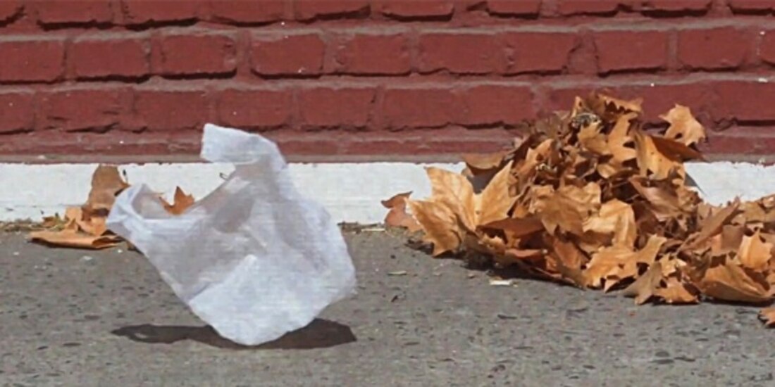 Belleza americana, Sam Mendes, 1999.