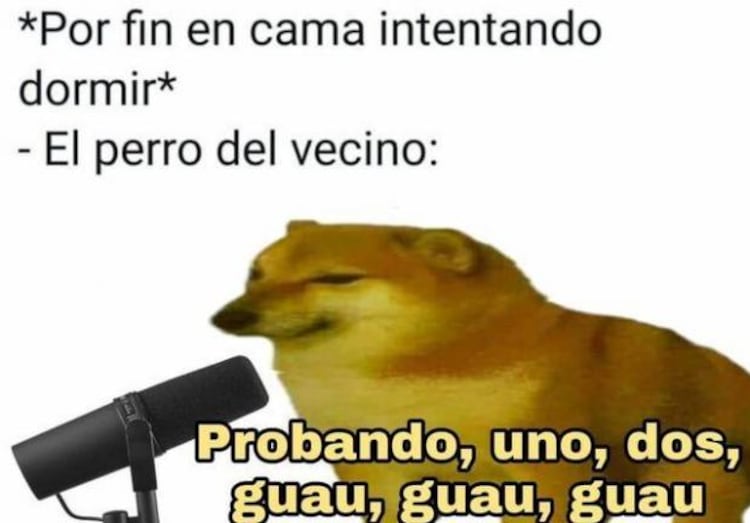Estos son TODOS los memes con los que recordaremos para siempre a ...