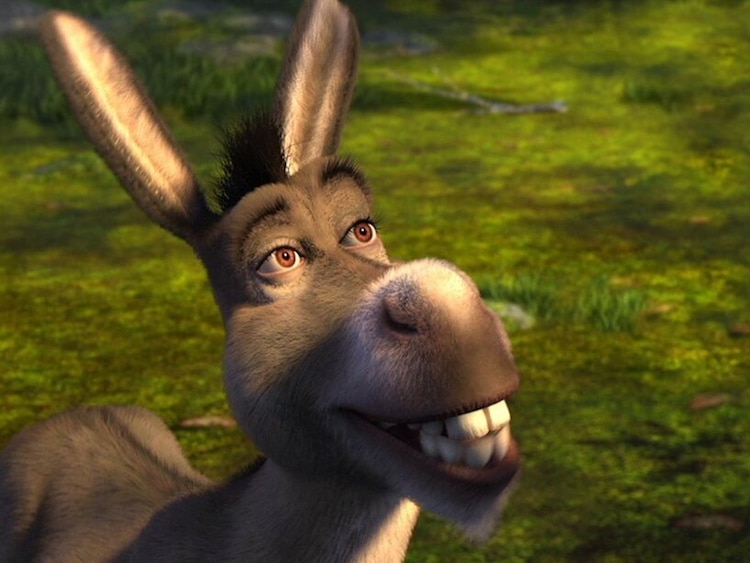 Burro de Shrek