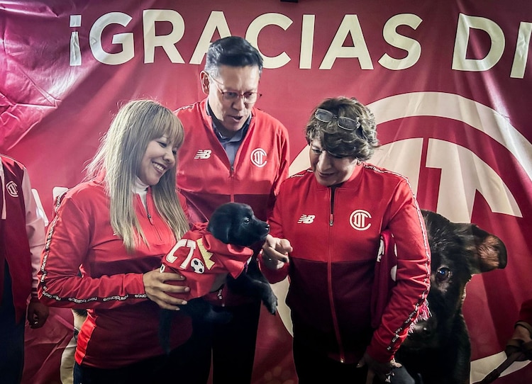 Gobierno de Delfina Gómez impulsa adopción animal con “La Mejor Jugada es Adoptar”.