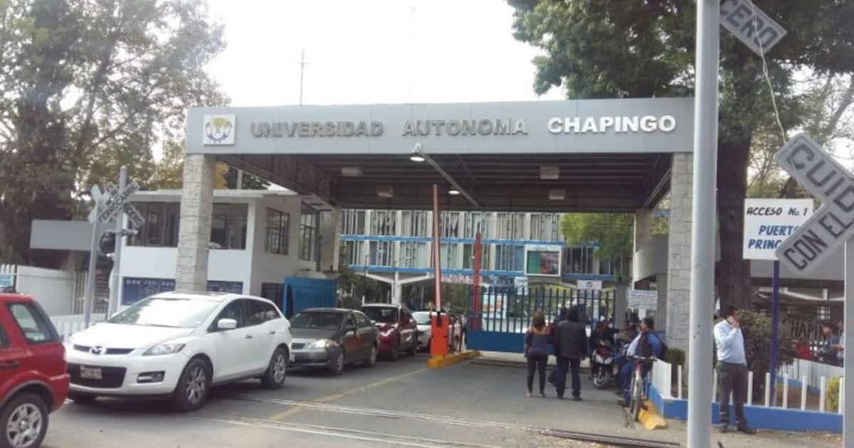 Chapingo Rectoroa El caso de Nazaret es feminicidio: rector de Universidad de Chapingo ...