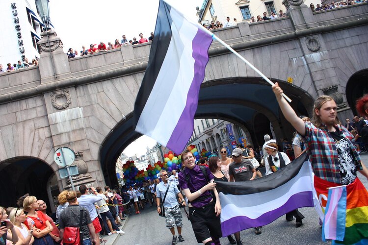 Un manifestante porta una bandera del colectivo asexual en Estocolmo, Suecia.