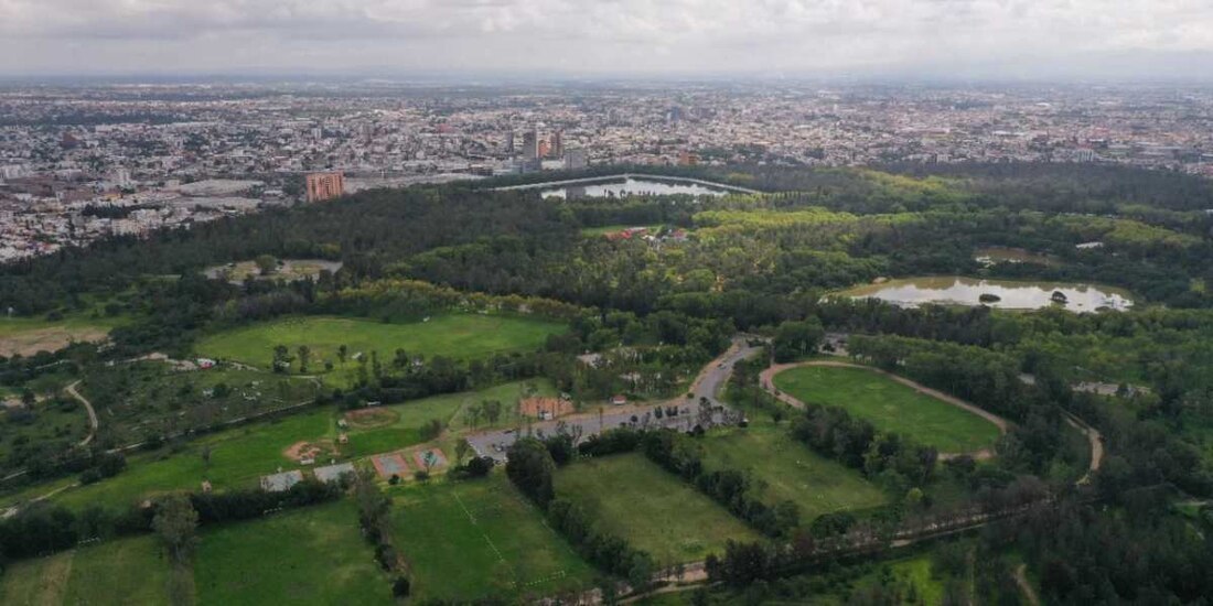 El tercer Parque Tangamanga tiene el objetivo de contribuir al fortalecimiento del tejido social y la práctica del deporte como hábito en los jóvenes del estado.