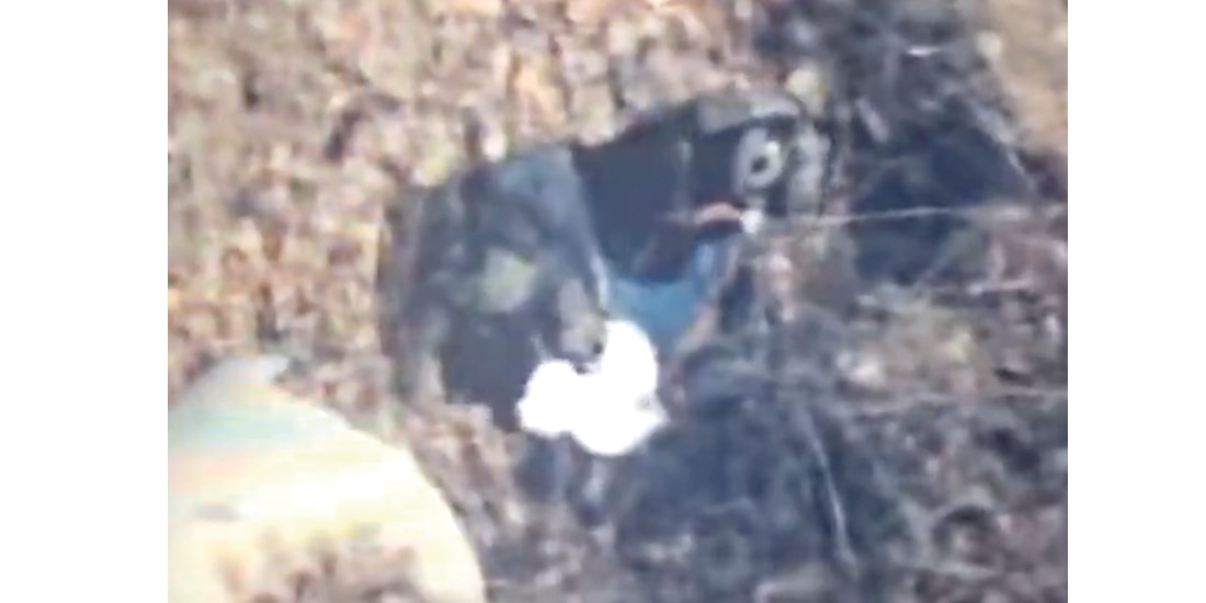 Caen perfilado reemplazo de El Mencho y su mano derecha