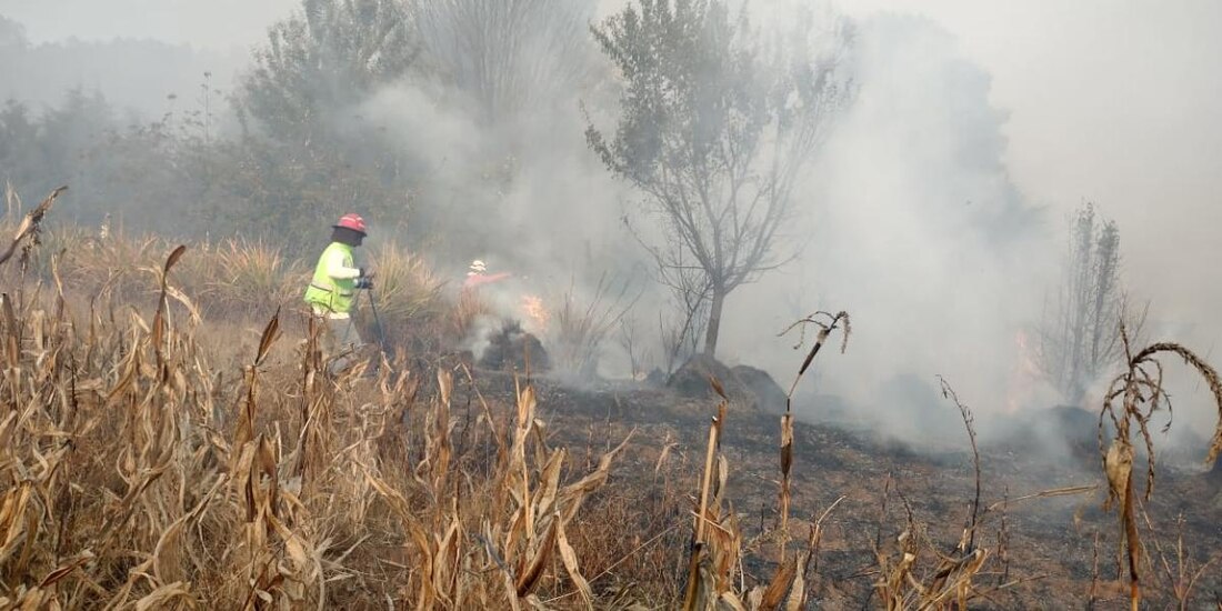 De acuerdo con medios locales, las viviendas consumidas por el incendio suman 10.