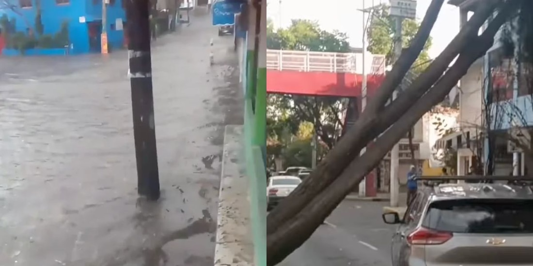 Lluvias y fuertes rachas de viento dejan árboles caídos e inundaciones en CDMX