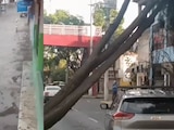 Lluvias y fuertes rachas de viento dejan árboles caídos e inundaciones en CDMX