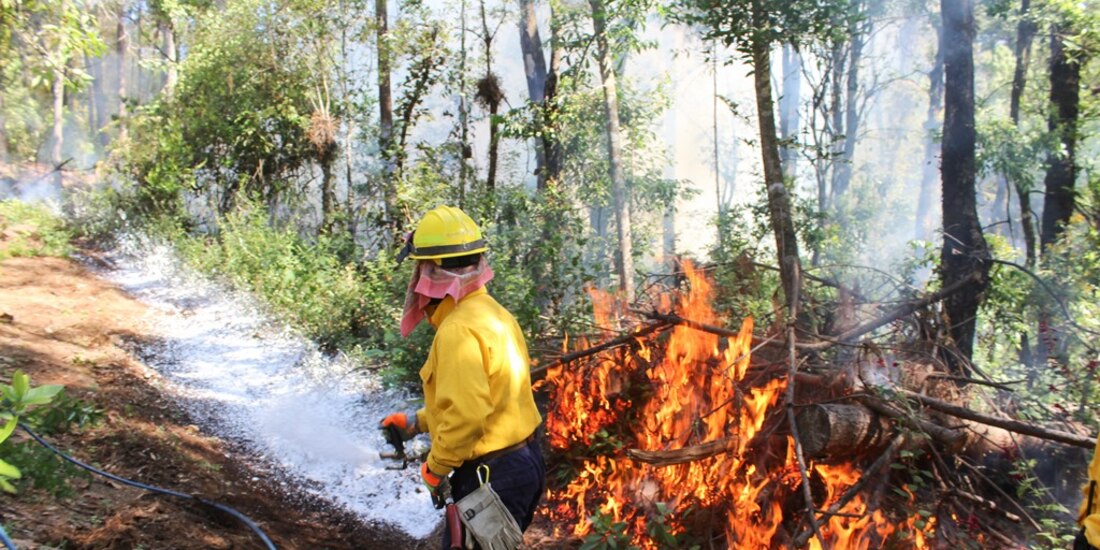 Al momento se reportan activos 42 incendios en el país: Conafor