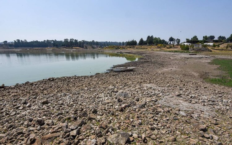 Las sequías han afectado producción agrícola.