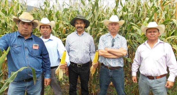 Productores han optado por Agricultura Sustentable, pues no daña las tierras.