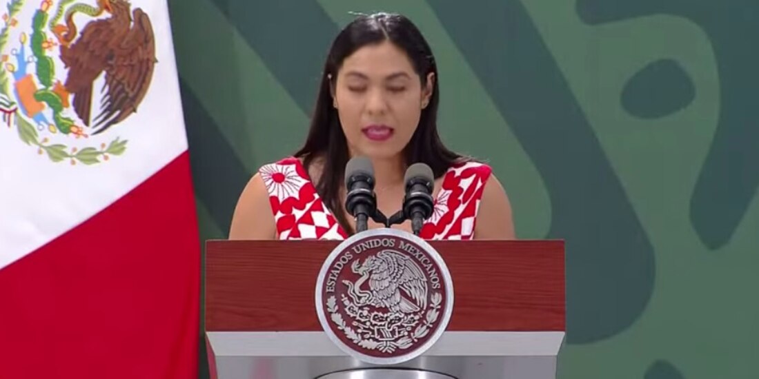 "Venimos arrastrando una profunda y añeja crisis de seguridad", señaló Indira Vizcaíno