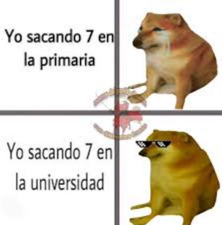 Estos son TODOS los memes con los que recordaremos para siempre a ...
