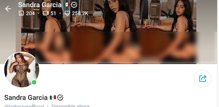 Lady Pays y su contenido en la página azul