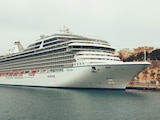 Detienen a 28 personas durante operativo federal en cruceros Disney