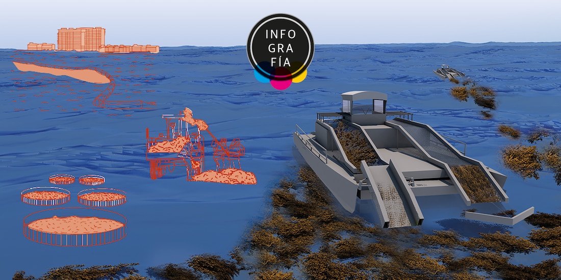 Alerta en el Caribe mexicano por la presencia de sargazo en exceso