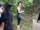 Oso abraza a mujer en Monterrey
