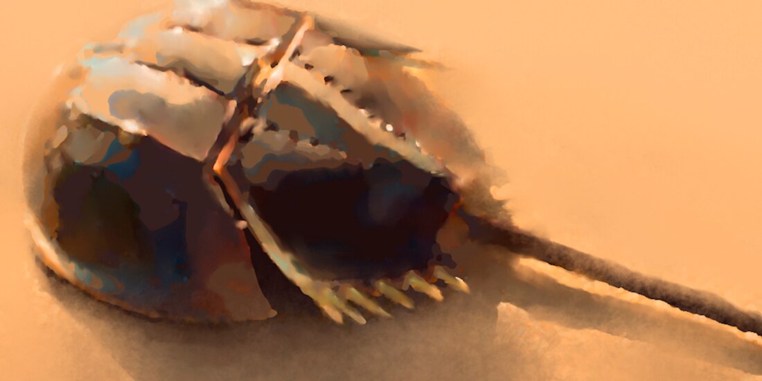 El devorador de ideas